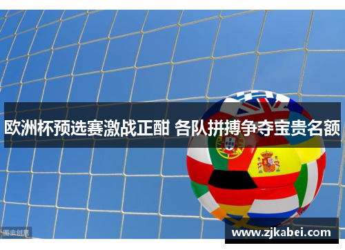 欧洲杯预选赛激战正酣 各队拼搏争夺宝贵名额